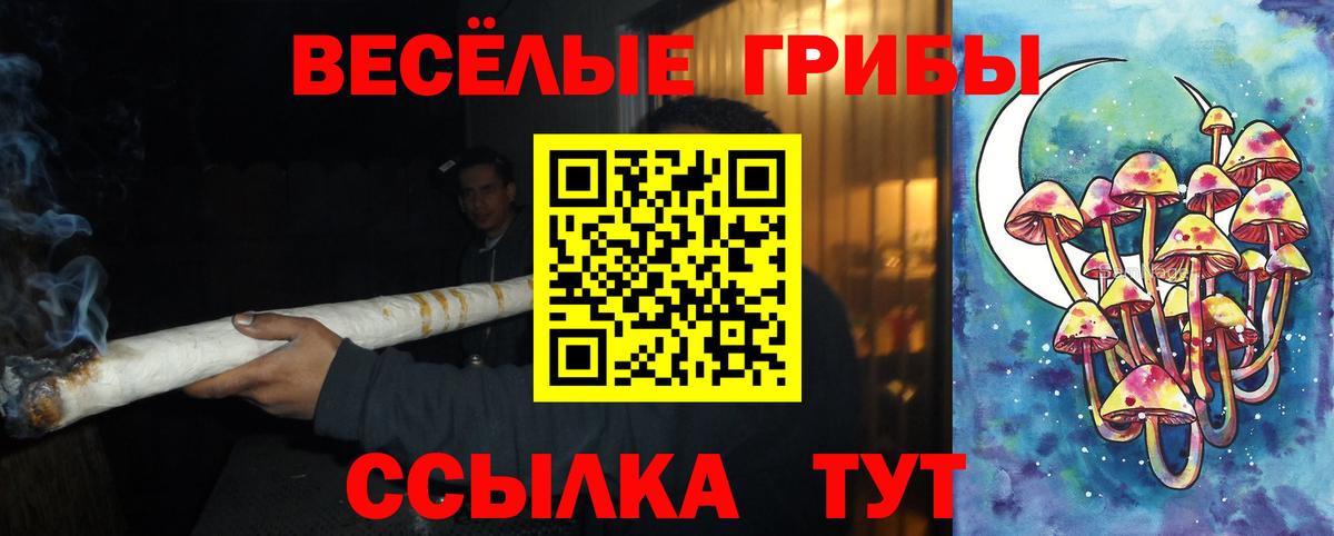 Галлюциногенные грибы ЛСД  Вход с VPN  Снежинск  Псилоцибиновые грибы ЛСД 